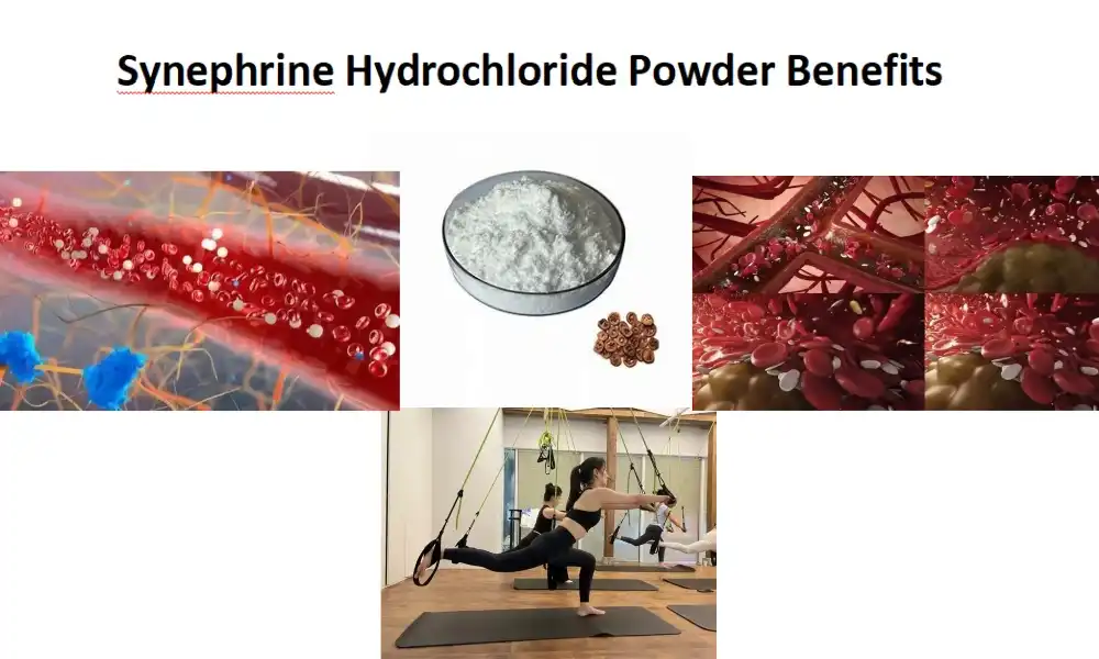 Synephrine Hydrochloride Powder Benefits